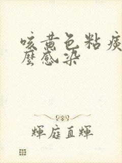 咳黄色粘痰是什么感染