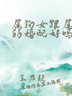 属狗女跟属牛男的婚配好吗