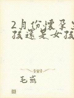 2月份怀孕生男孩还是女孩几率大