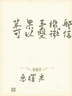 苹果手机哪一款可以双微信双开