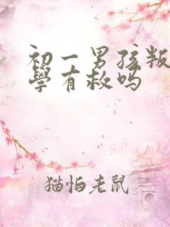 初一男孩叛逆厌学有救吗