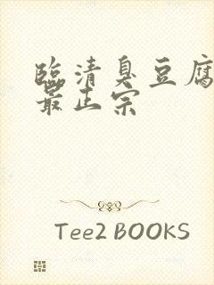 临清臭豆腐哪家最正宗