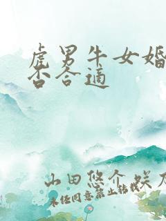 虎男牛女婚配是否合适