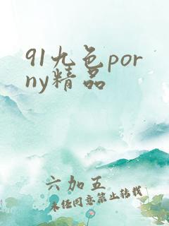 91九色porny精品