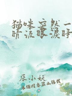 猫咪突然一只眼睛流眼泪睁不开