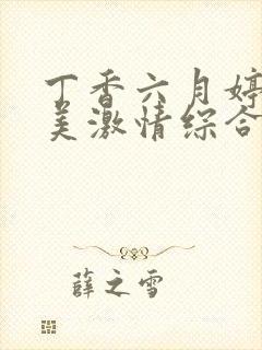 丁香六月婷婷欧美激情综合