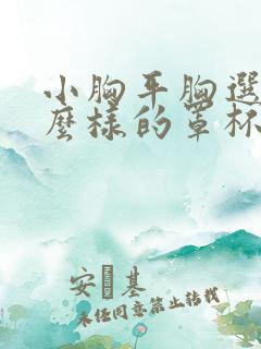 小胸平胸选择什么样的罩杯