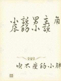 小说男主角叫叶辰的小说