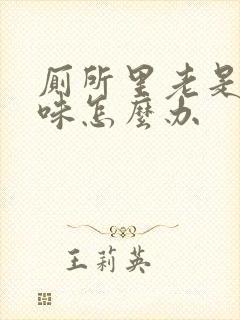 厕所里老是有臭味怎么办