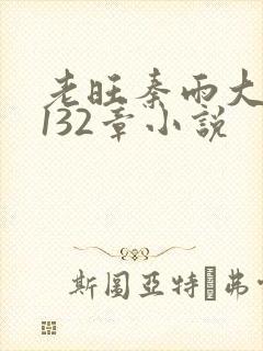 老旺秦雨大结局132章小说