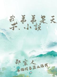 我弟弟是天选之子. 小说