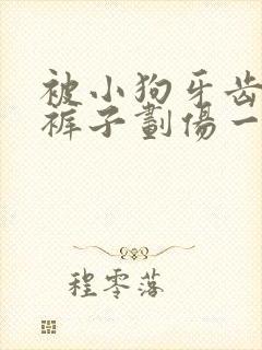 被小狗牙齿隔着裤子划伤一点皮出血有事吗