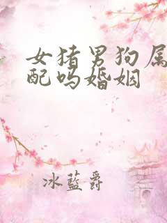 女猪男狗属相相配吗婚姻