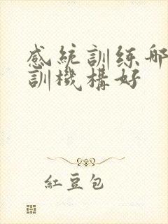 感统训练哪家培训机构好