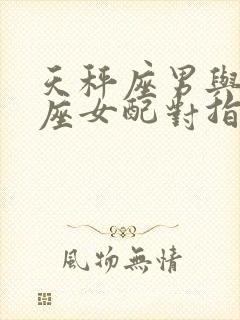 天秤座男与处女座女配对指数