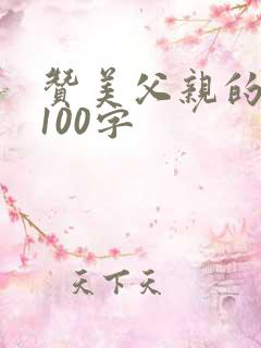 赞美父亲的话语100字