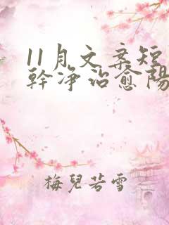 11月文案短句干净治愈阳光