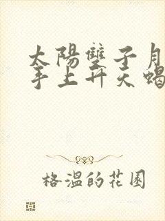 太阳双子月亮射手上升天蝎