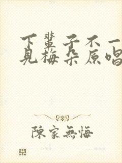 下辈子不一定遇见梅朵原唱