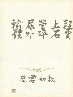 输尿管上段结石体外碎石费用