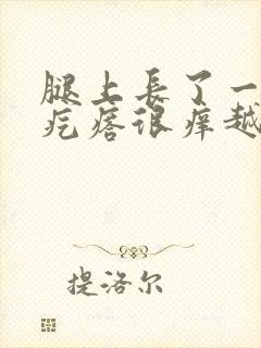 腿上长了一片红疙瘩很痒越抓越痒