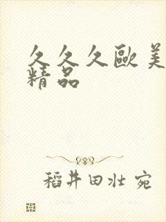 久久久欧美亚洲精品