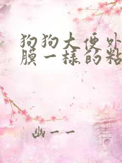 狗狗大便外面有膜一样的粘液