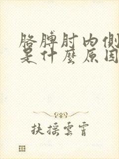 胳膊肘内侧疼痛是什么原因引起的