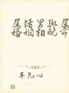 属猪男与属蛇女婚姻相配命运如何