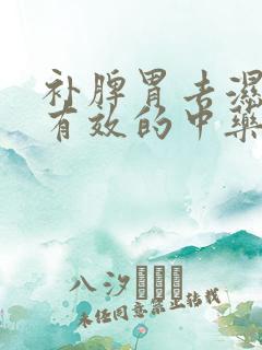 补脾胃去湿气最有效的中药材