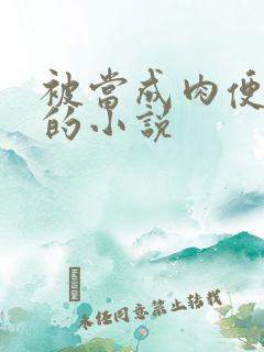 被当成肉便器操的小说