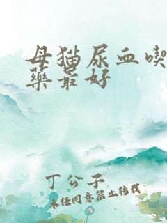 母猫尿血吃什么药最好