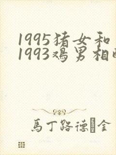 1995猪女和1993鸡男相配婚姻如何