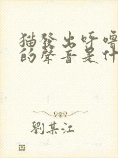 猫发出呼噜呼噜的声音是什么原因