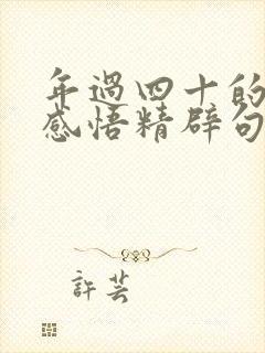 年过四十的人生感悟精辟句子