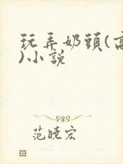 玩弄奶头(高h)小说