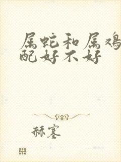 属蛇和属鸡的婚配好不好