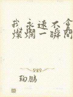 我永远不会忘记灿烂一瞬间的你