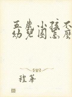 五岁小孩不去上幼儿园怎么办