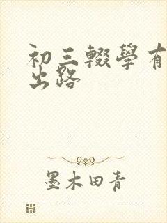 初三辍学有什么出路