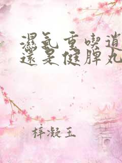 湿气重吃逍遥丸还是健脾丸