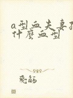 a型血夫妻孩子什么血型