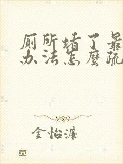 厕所堵了最快的办法怎么疏通