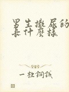 男生撒尿的地方长什么样