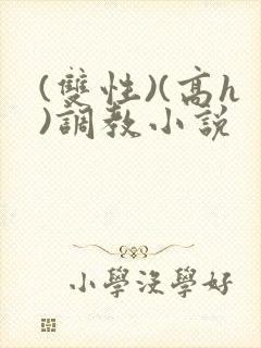 (双性)(高h)调教小说