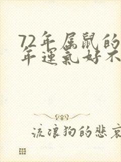 72年属鼠的今年运气好不好