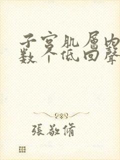 子宫肌层内可见数个低回声