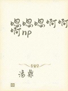 嗯嗯嗯啊啊啊啊啊np