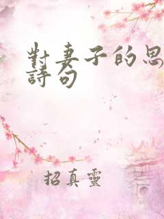 对妻子的思念的诗句