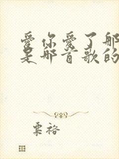 爱你爱了那么久是哪首歌的歌词